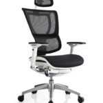 Image is of aynor-eurotech-ioo-chair-with-headrest