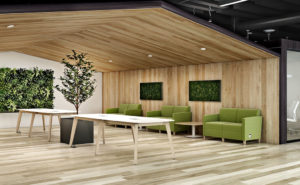 Image is of a green space showing a Nevins blast