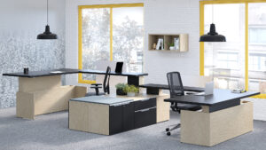 Image is of Groupe Lacasse Adjustable Desks